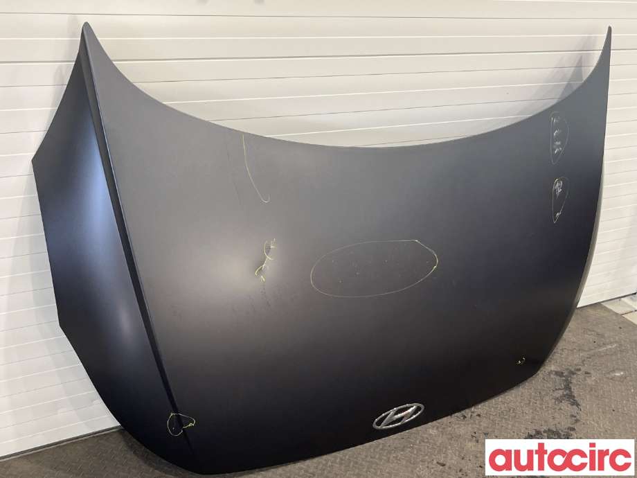 Panser til Hyundai Ioniq 5 2021-->>  (NO NUMBER|)