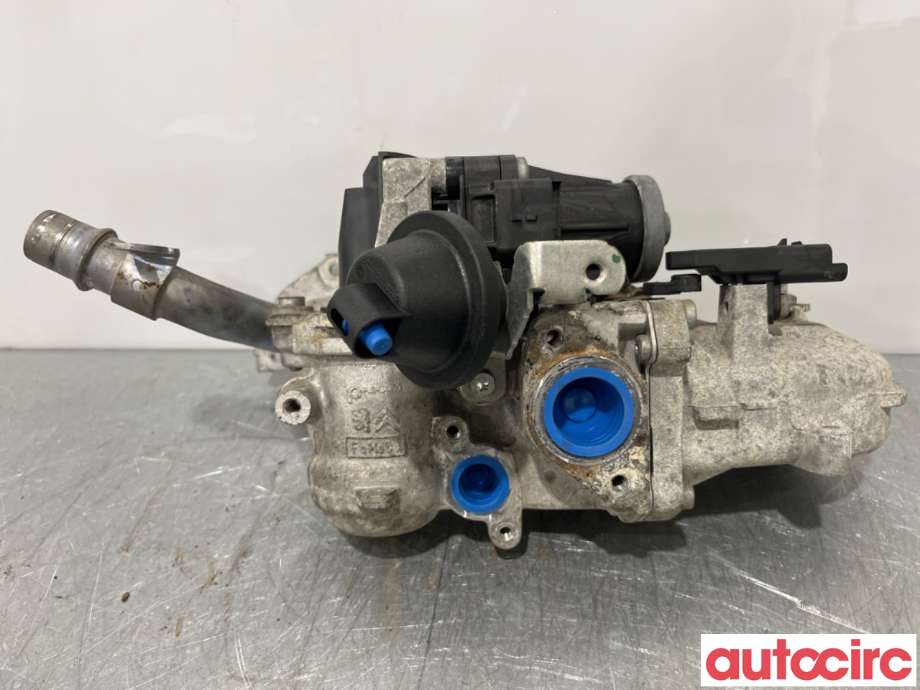 EGR-ventil til Ford Fiesta, 2008-2012 (Type VI, Fase 1)  (FORD|1702178)