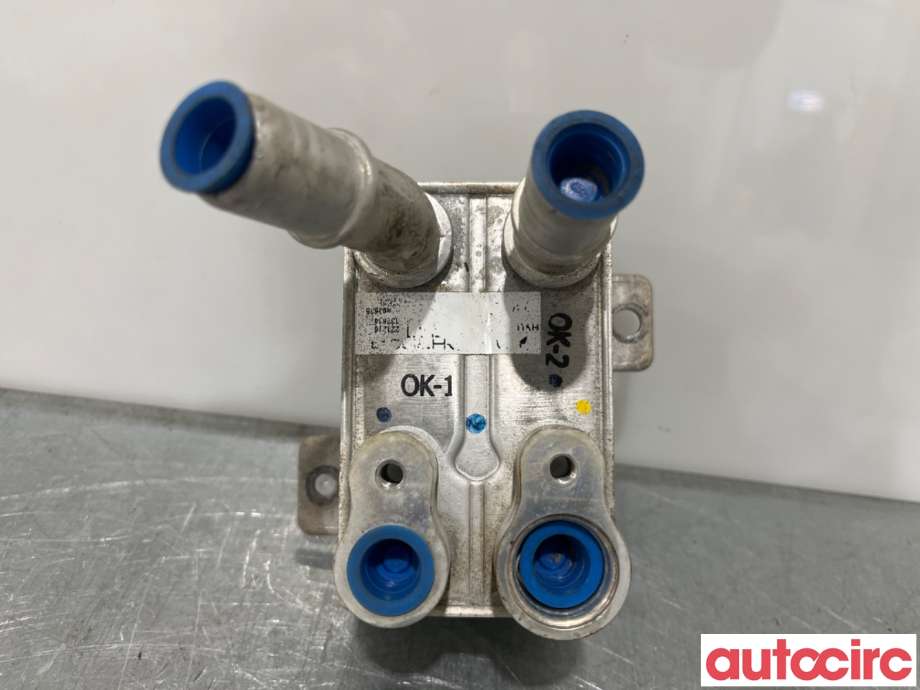 Varmeapparat diverse til Hyundai Ioniq 5 2021-->>  (HYUNDAI|25670GI000|)