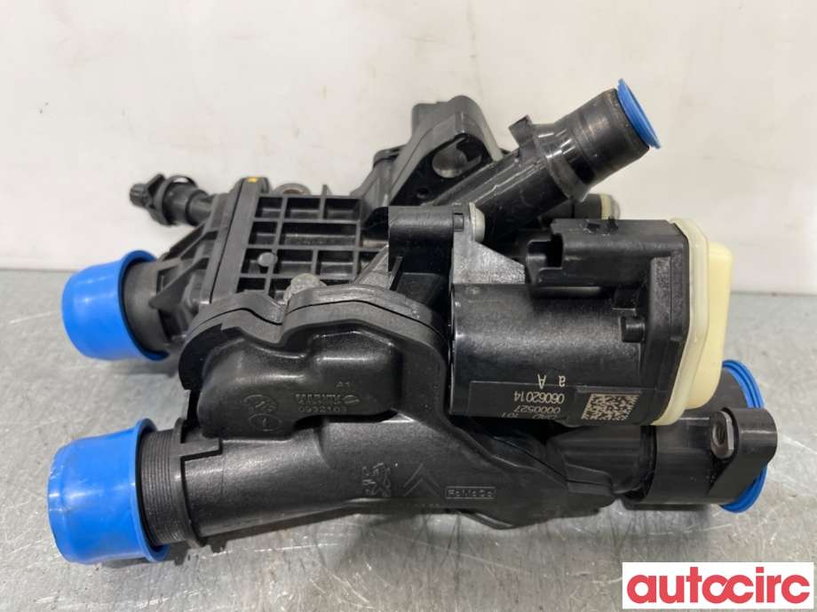 Termostathus til Peugeot 308, 2013-2021 (Type II)  (PEUGEOT|9804160380)