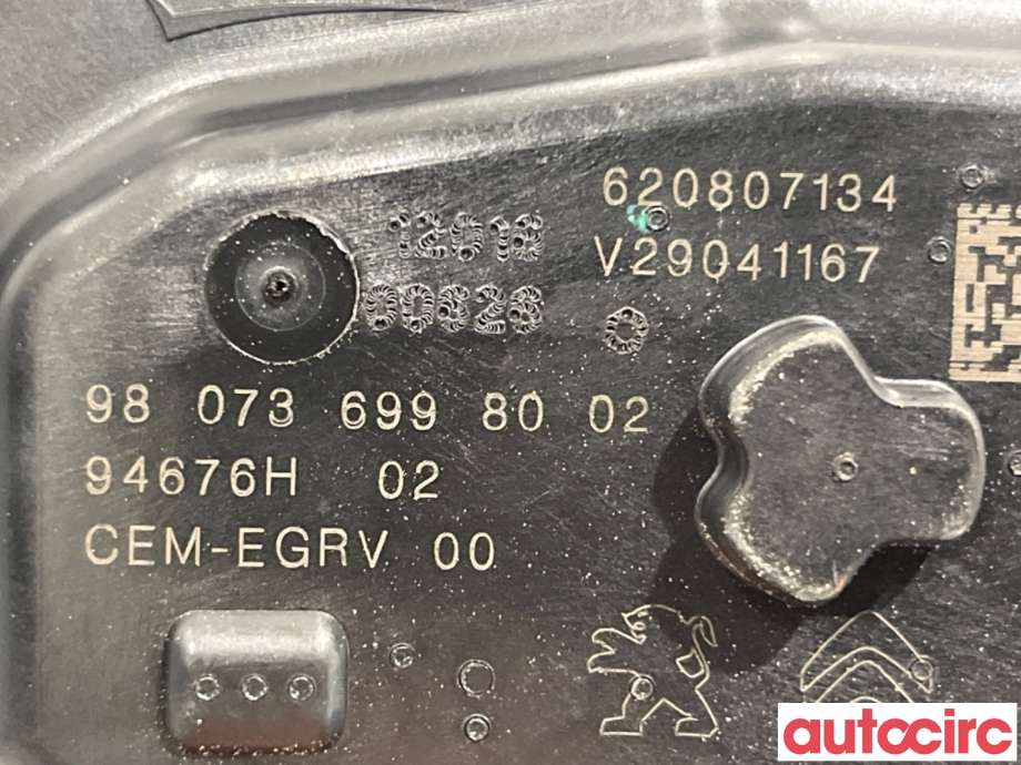 EGR-ventil til Citroën Berlingo 2015-2019 (Type II, Fase 2)  (CITROEN|1679828780|V29041167|9807369980)