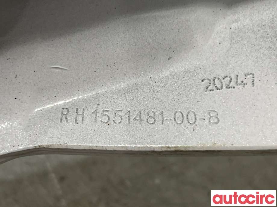 Hengsler til Tesla Model 3 2018-2023 (Fase 1)  (TESLA|1551481-CN-F||1551481-00-B)