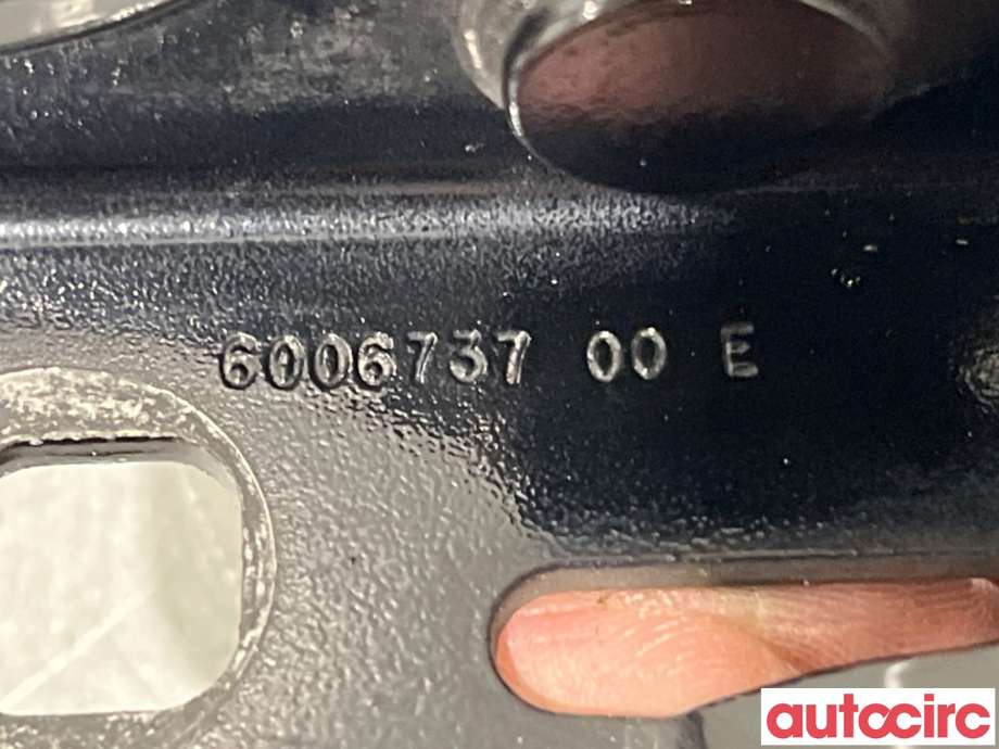 Panserhengsler til Tesla Model S 2013-2016 (Fase 1)  (TESLA|6006737-00-E|)