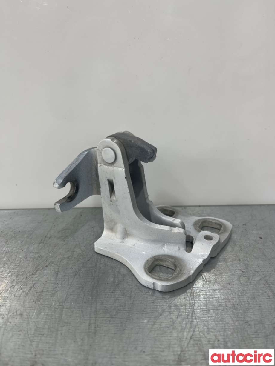 Hengsler til Tesla Model 3 2018-2023 (Fase 1)  (TESLA|1101035-00-G|)