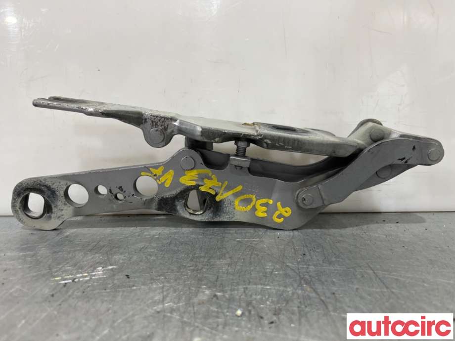 Panserhengsler til BMW X3 2003-2006 (Fase 1) (E83) (E83) (BMW|41613452843||3411447)