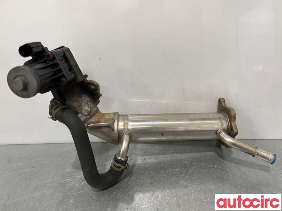 EGR-ventil til Ford Transit 2014-->> (FORD|2301039|703784100|BK2Q-9D475-CC)