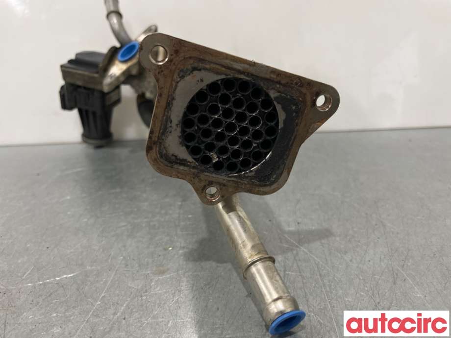 EGR-ventil til Ford Transit 2014-->> (FORD|2301039|703784100|BK2Q-9D475-CC)