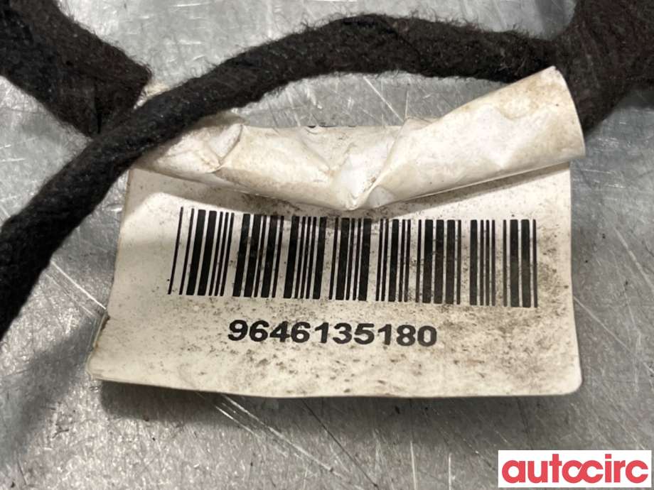 Ledningsnett til Peugeot 207 2006-2012  (PEUGEOT|6558RN||9646135180)