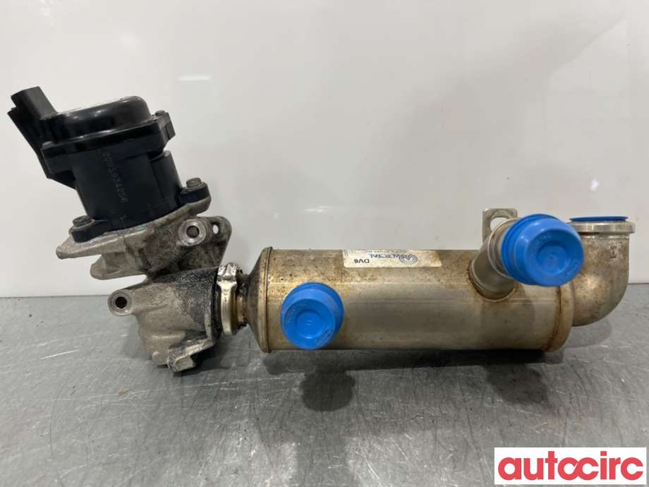 EGR-ventil til Ford Focus 2008-2010 (Type II, Fase 2)  (FORD|2002309||RE5S6Q9D475AE)