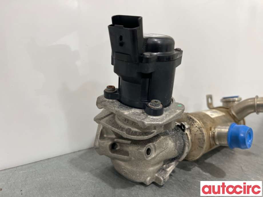 EGR-ventil til Ford Focus 2008-2010 (Type II, Fase 2)  (FORD|2002309||RE5S6Q9D475AE)