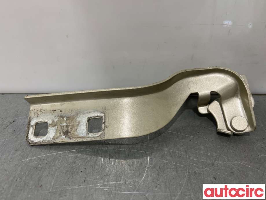 Panserhengsler til Fiat Ducato 2007-2013  (FIAT|4342115080|)