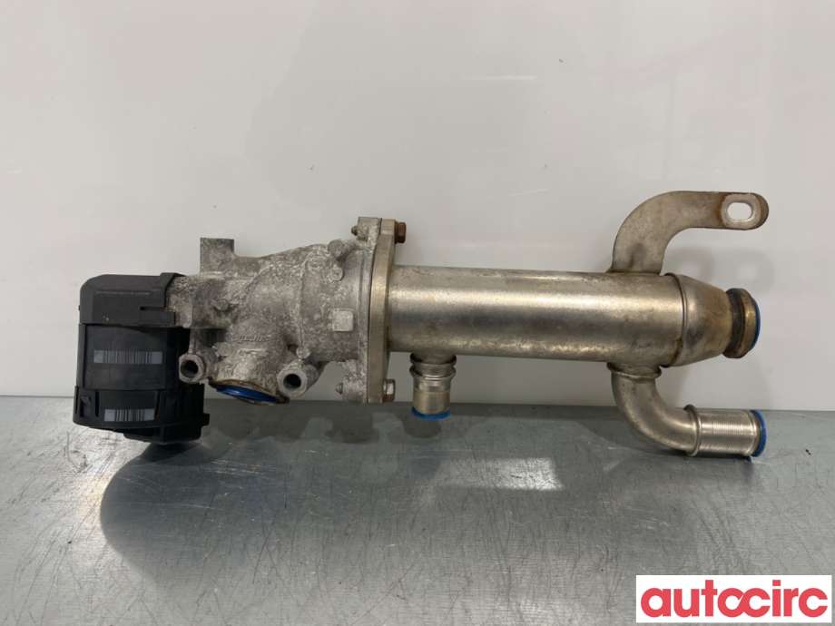 EGR-ventil til Peugeot 407 2004-2010 (PEUGEOT|875816W|1618GZ|)