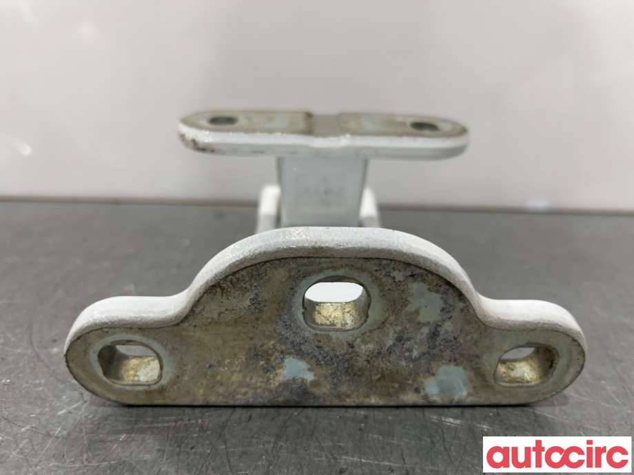 Hengsler til Ford Transit Connect 2013-2018 Type II, Fase 1  (FORD|2168175||DT11V42982-AC)