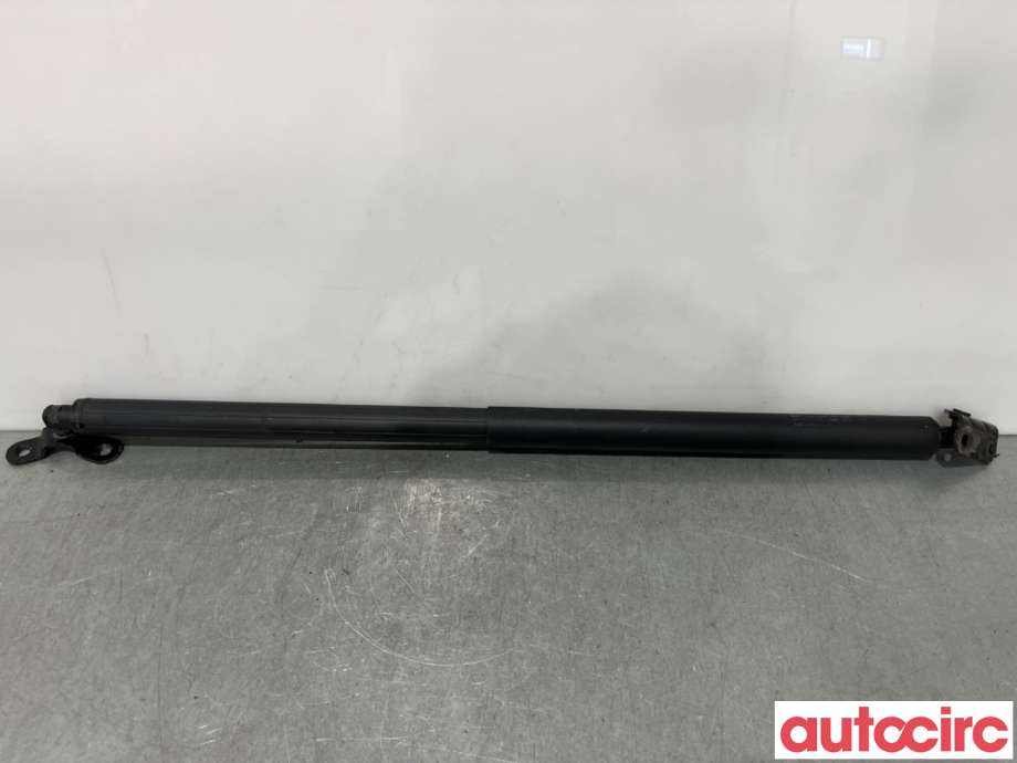 Baklukedemper til Ford Kuga 2013-2019 (FORD|5188513||CJ54-S402A74-AC)