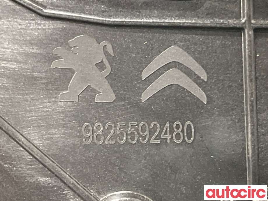 Lister til Peugeot 2008 2019-->> (Type II)  (PEUGEOT|98392439XY||9825592480)
