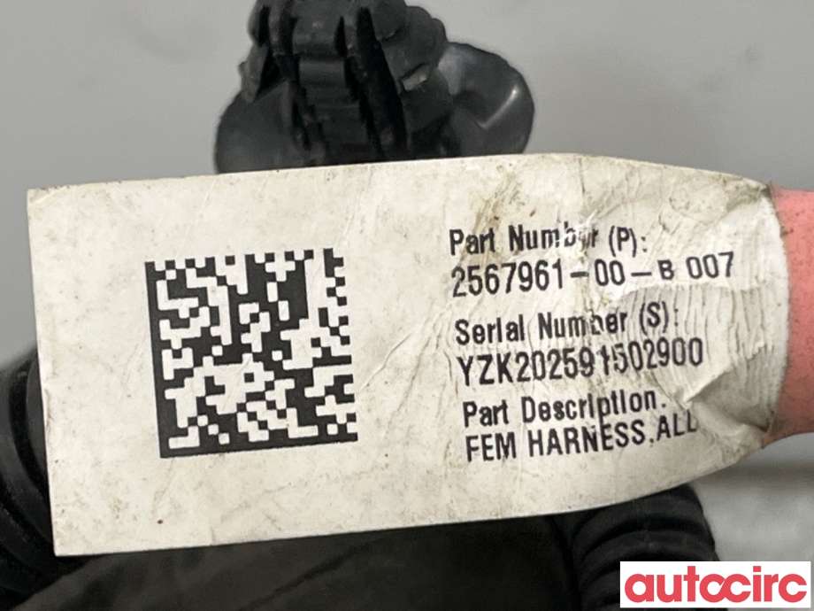 Ledningsnett til Tesla Model 3 2018-2023 (Fase 1)  (TESLA|2567961-00-C||2567961-00-B)