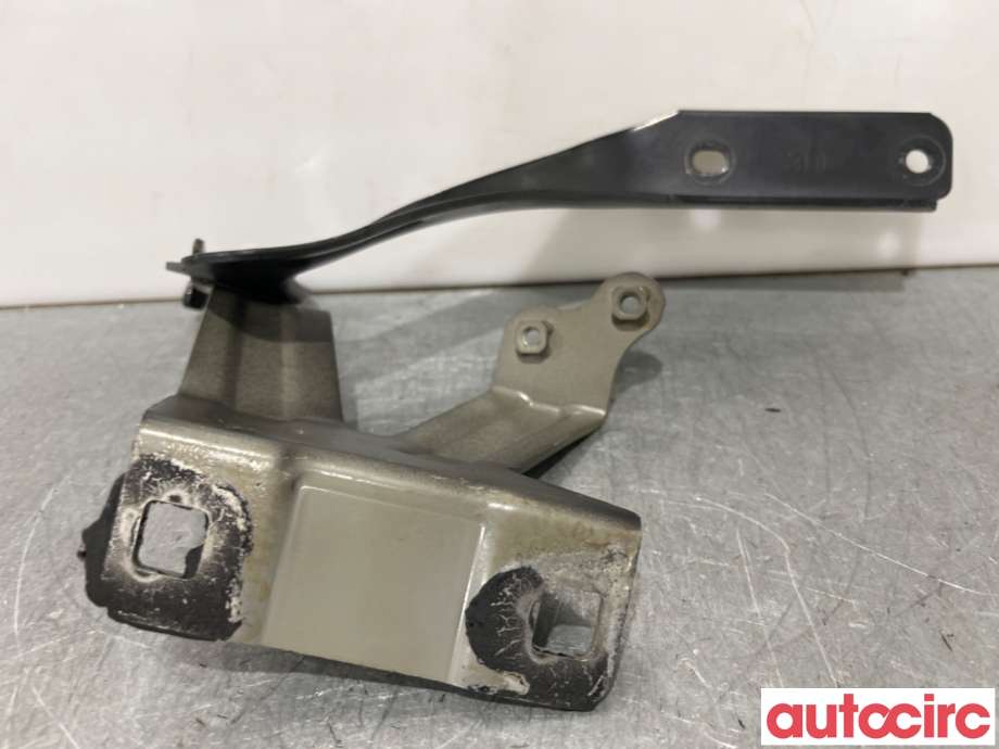 Panserhengsler til Nissan Leaf 2011-2017 (Type I)  (NISSAN|654013NA0A|)