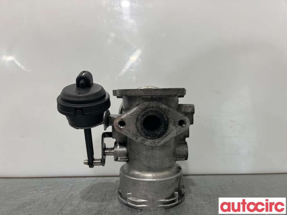 EGR-ventil til VW Transporter / Caravelle 2003-2009 (Fase 1) (T5) (T5) (VOLKSWAGEN|038131501AL|)