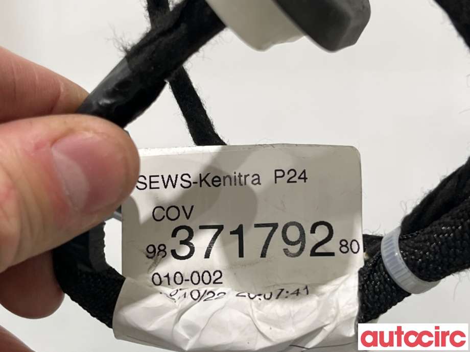 Ledningsnett til Peugeot 2008 2019-->> (Type II)  (PEUGEOT|9836323880||9837179280)