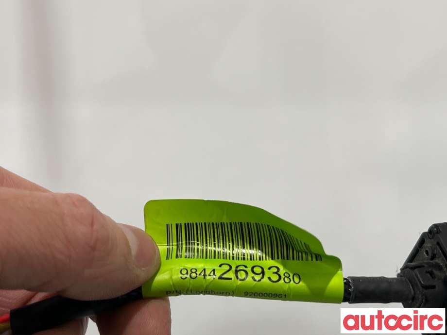 Kamera til Peugeot 2008 2019-->> (Type II)  (PEUGEOT|9832294580|9844269380|9841924880)