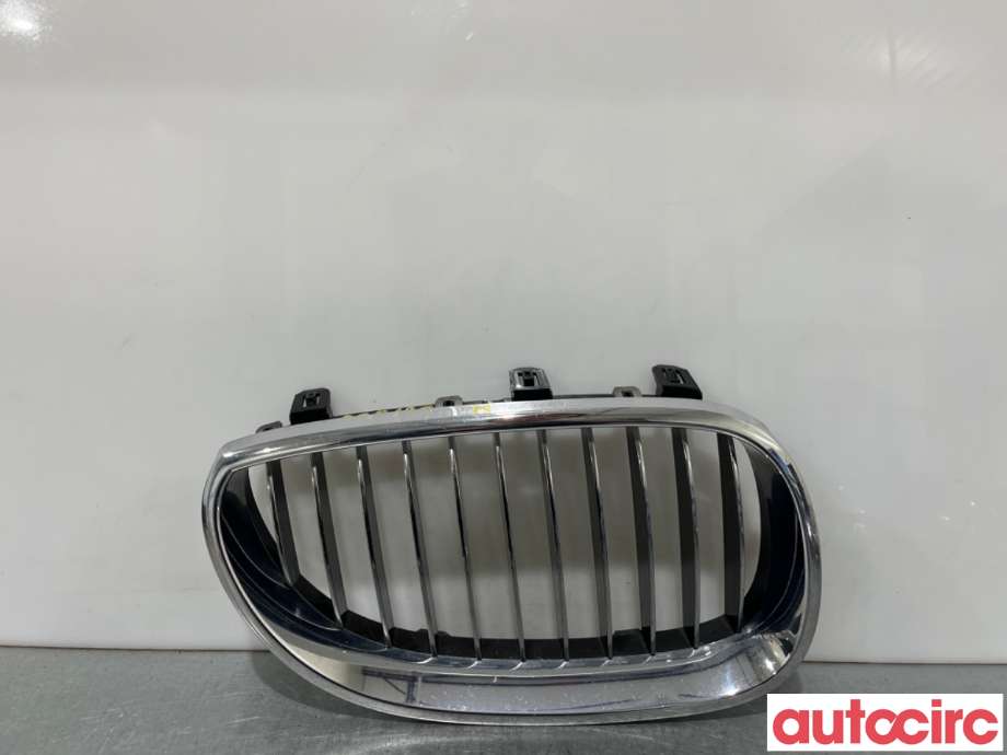 Grill høyre til BMW 5-Serie, 2003-2010 (E60/E61) (E60/E61) (BMW|51137065702)