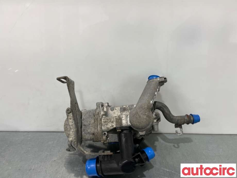 EGR-ventil til Ford Fiesta 2008-2012 (Type VI, Fase 1)  (FORD|1702178|70215615|2473602)