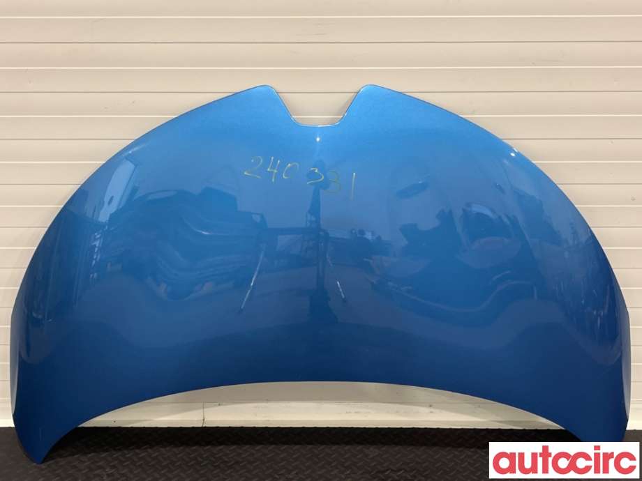 Panser til Renault Zoe, 2013-2019 (Fase 1)  (RENAULT|651004516R)