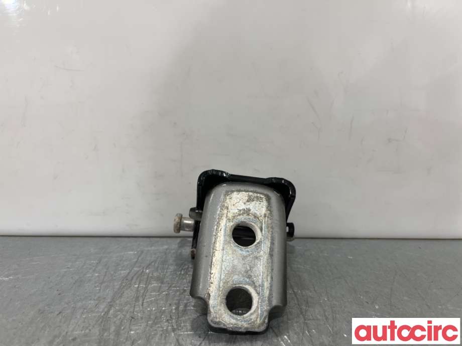 Hengsler til Citroën DS3 2010-2019 (CITROEN|9035CQ|)