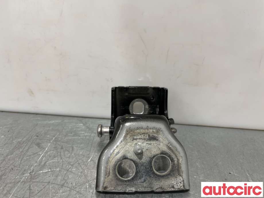 Hengsler til Citroën DS3 2010-2019  (CITROEN|9035CR|)