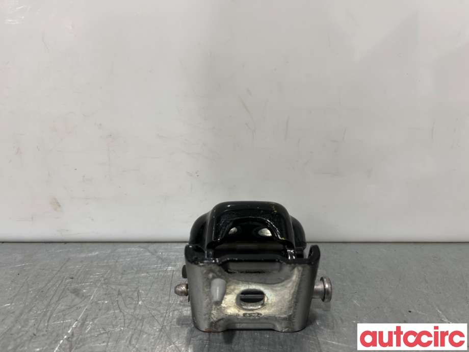 Hengsler til Citroën DS3 2010-2019  (CITROEN|9035CR|)