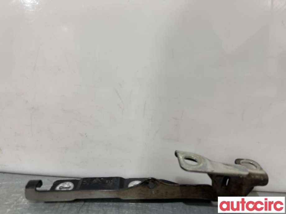 Panserhengsler til Citroën DS3 2010-2019  (CITROEN|7912F6||9683552480)
