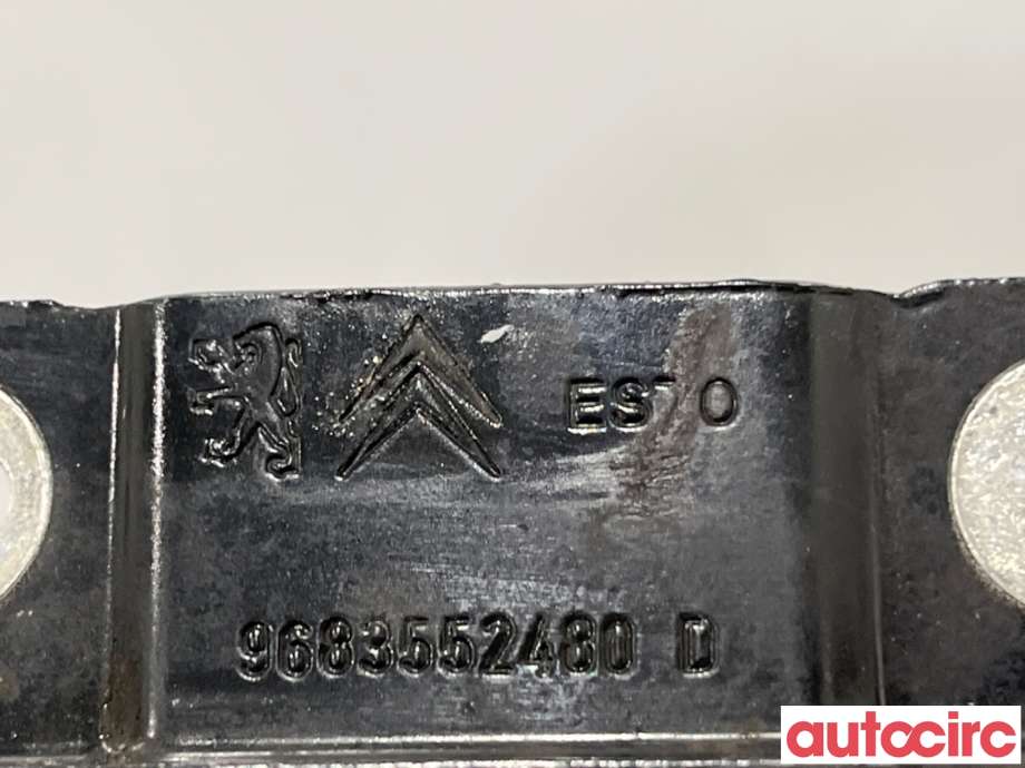 Panserhengsler til Citroën DS3 2010-2019  (CITROEN|7912F6||9683552480)