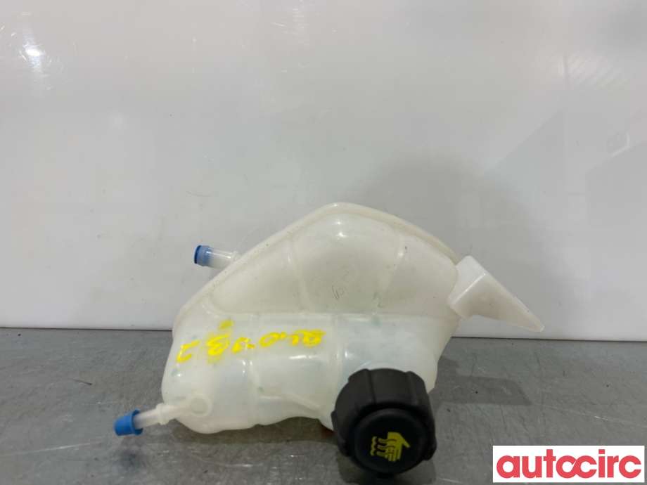 Ekspansjonstank til Nissan Qashqai 2014-2021 (Type II) (NISSAN|217114EA0A|)