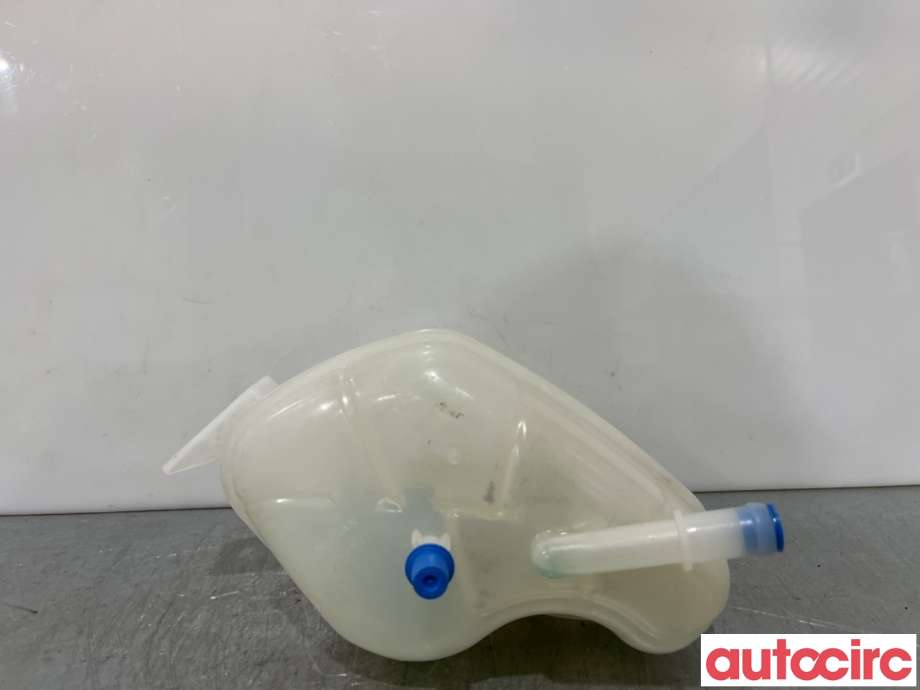 Ekspansjonstank til Nissan Qashqai 2014-2021 (Type II) (NISSAN|217114EA0A|)