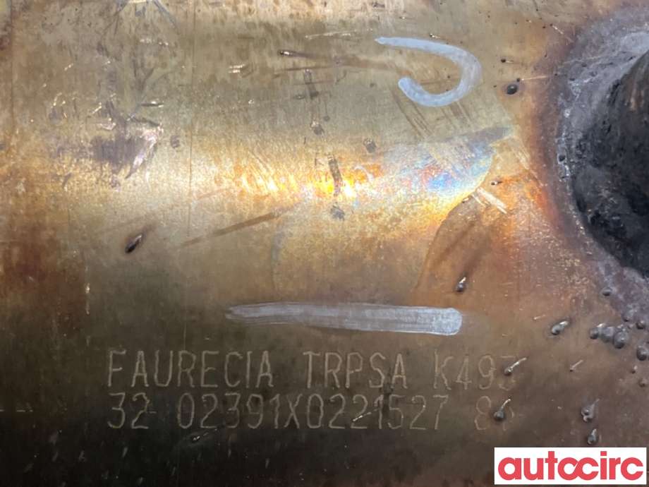 Partikkelfilter til Citroën Berlingo 2008-2015 (Type II, Fase 1)  (CITROEN|174037|TRPSAK493|)