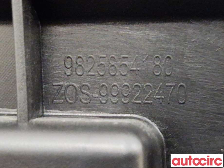 Diverse deler til Peugeot 2008 2019-->> (Type II)  (PEUGEOT|1668511480||9825854180)