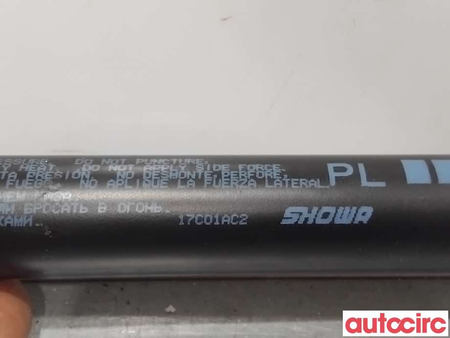 Baklukedemper til Citroën C4, Aircross 2012-2017  (CITROEN|1607549480|17C10AC2|1687264580)