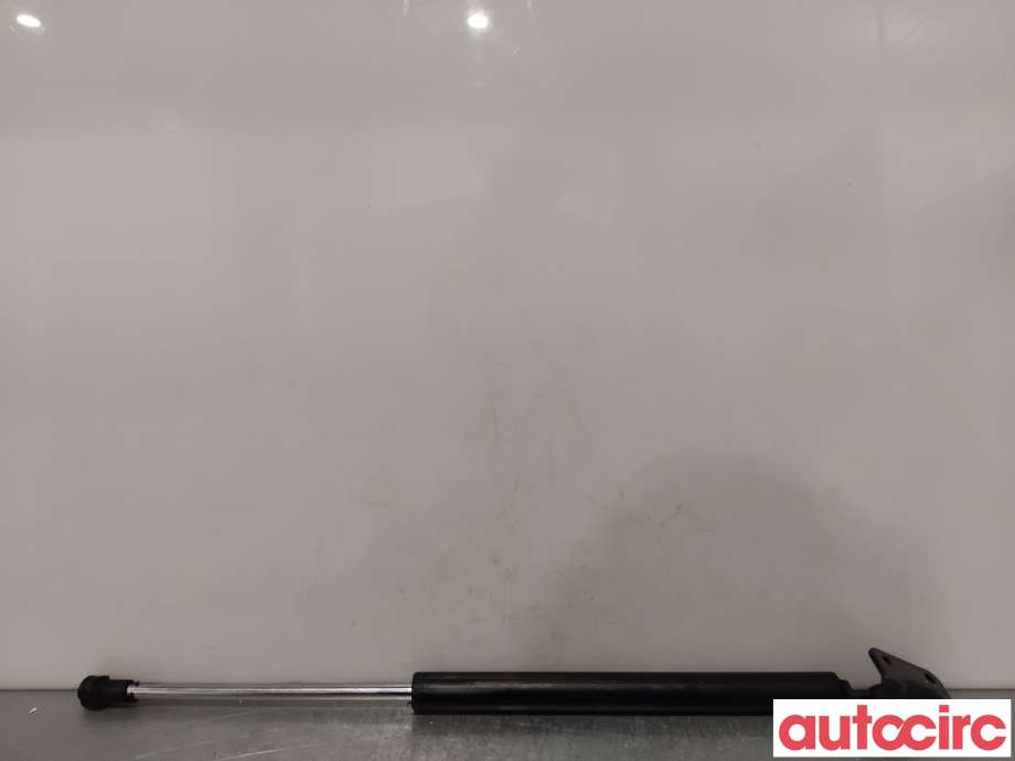 Baklukedemper til Citroën C4, Aircross 2012-2017  (CITROEN|1607549580|17C02AB1|1687264680)