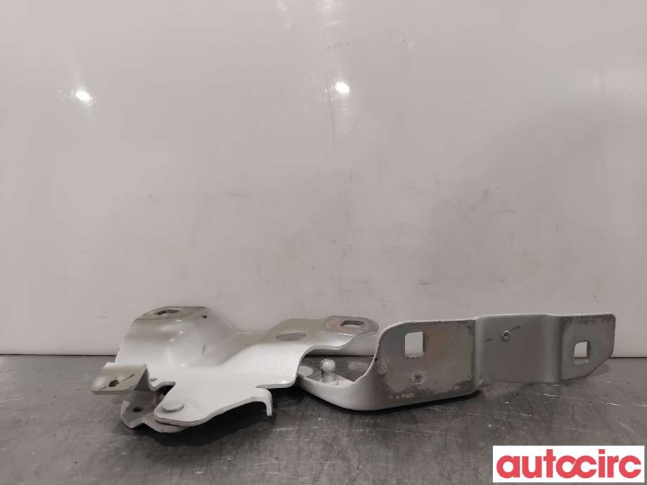 Panserhengsler til Renault Zoe 2013-2019 (Fase 1)  (RENAULT|654004793R||654009955R)