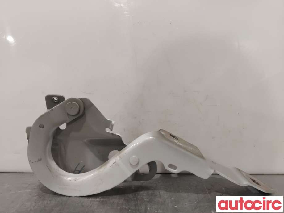 Panserhengsler til Renault Zoe 2013-2019 (Fase 1)  (RENAULT|654004793R||654009955R)