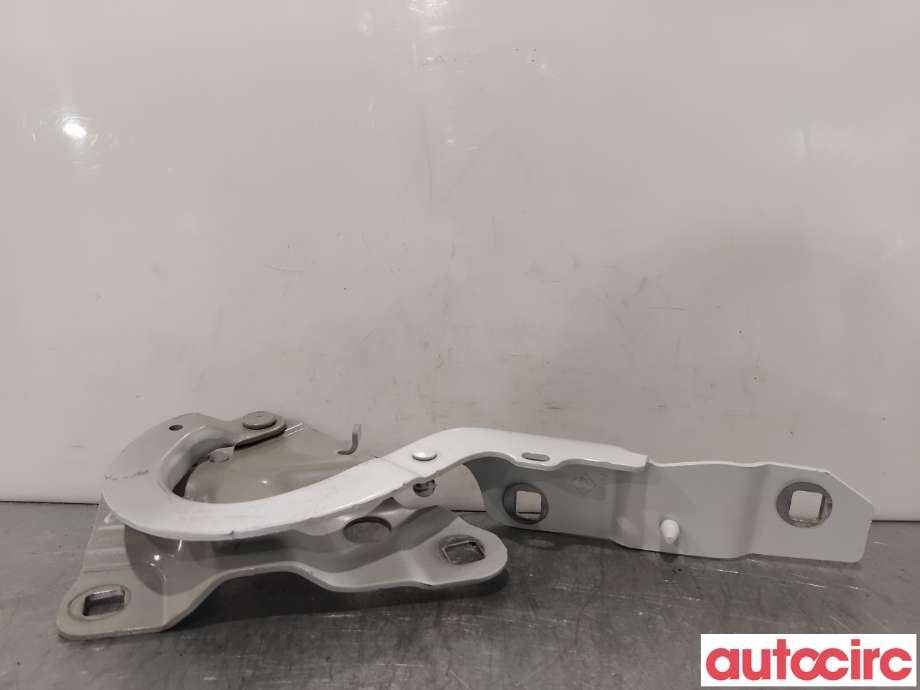 Panserhengsler til Renault Zoe 2013-2019 (Fase 1)  (RENAULT|654004793R||654009955R)