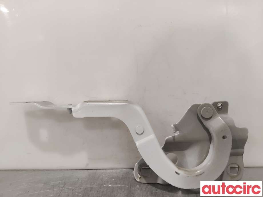Panserhengsler til Renault Zoe, 2013-2019 (Fase 1) (RENAULT|654015966R)