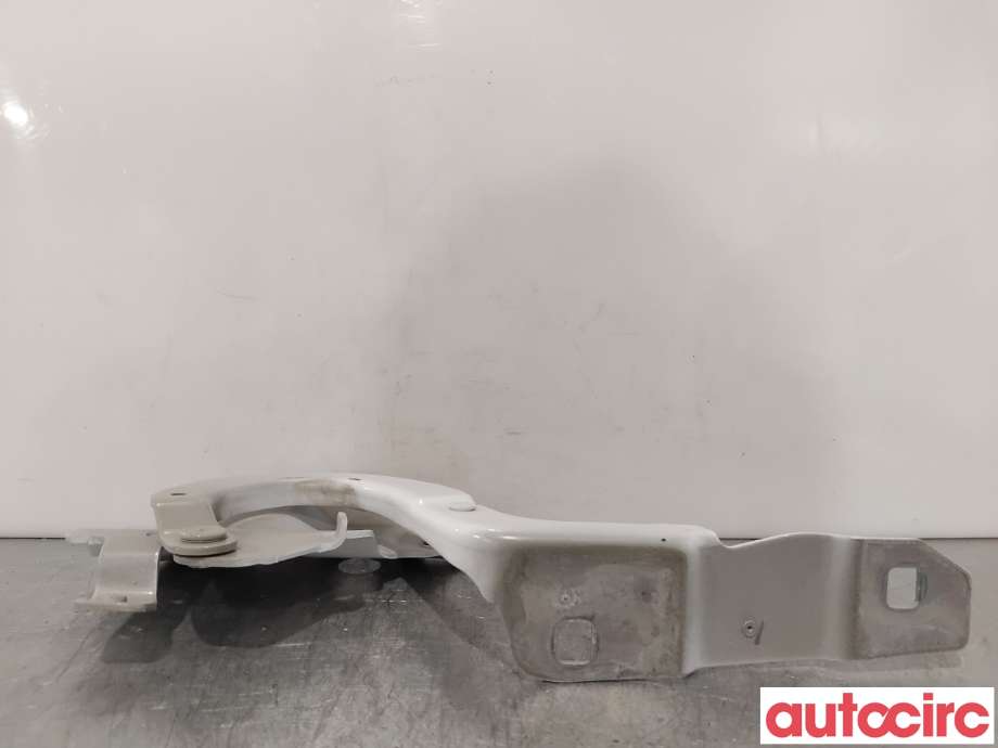 Panserhengsler til Renault Zoe 2013-2019 (Fase 1) (RENAULT|654015966R||654018609R)