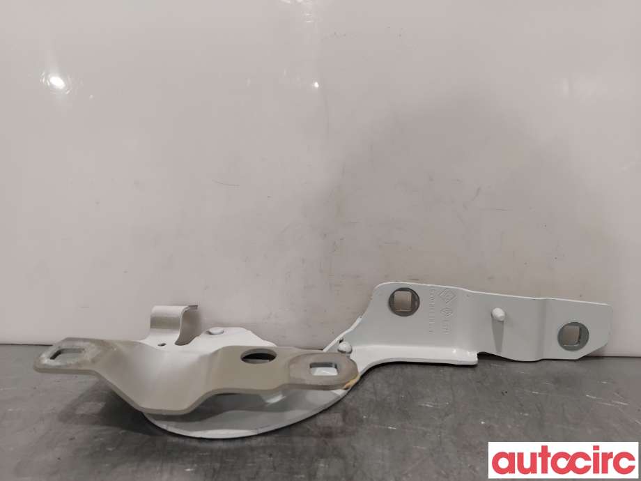 Panserhengsler til Renault Zoe 2013-2019 (Fase 1) (RENAULT|654015966R||654018609R)