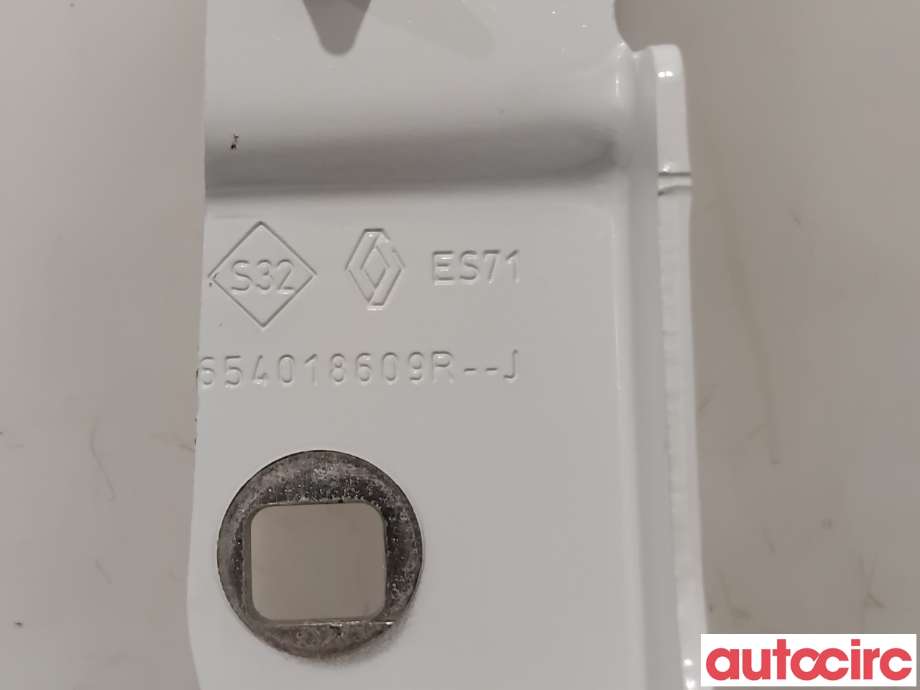 Panserhengsler til Renault Zoe 2013-2019 (Fase 1) (RENAULT|654015966R||654018609R)