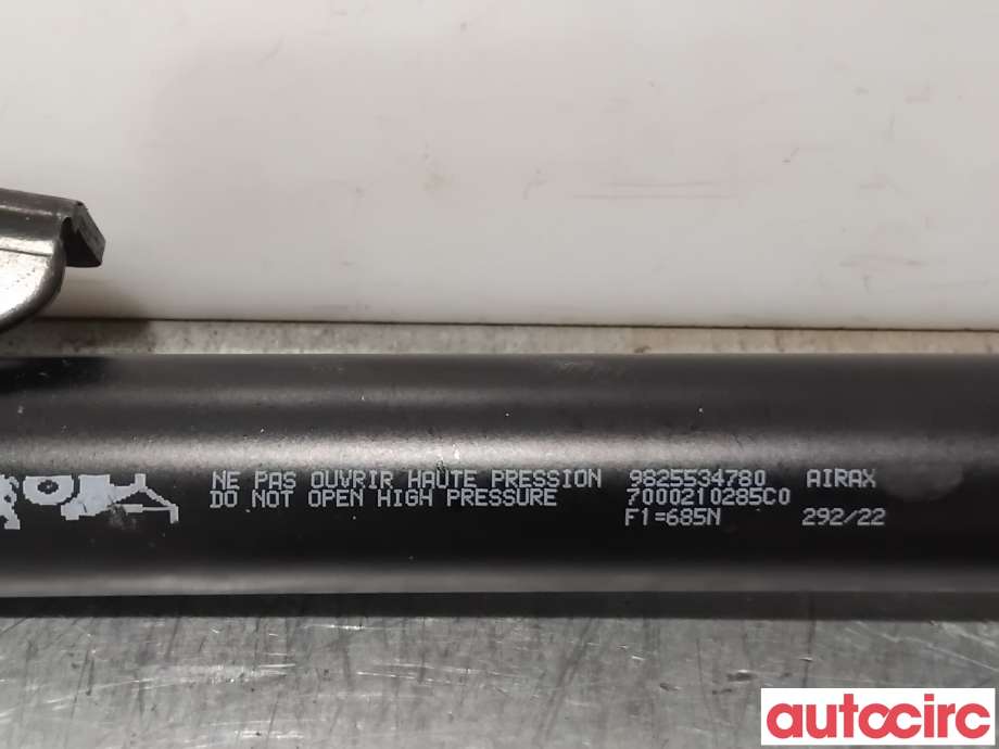 Baklukedemper til Peugeot 2008 2019-->> (Type II)  (PEUGEOT|9825534780|)