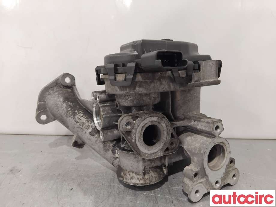 EGR-ventil til Citroën Berlingo 2015-2019 (Type II, Fase 2)  (CITROEN|1679828780|V29041167|9807369980)