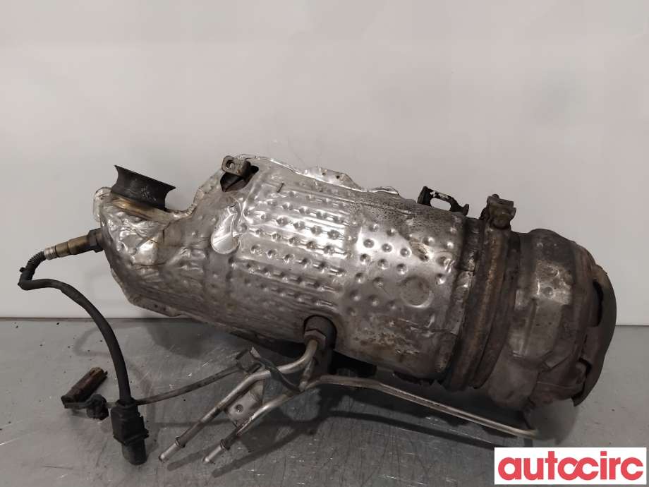 Partikkelfilter til Citroën Berlingo 2008-2015 (Type II, Fase 1)  (CITROEN|174066|TRPSAK638|1609532780)