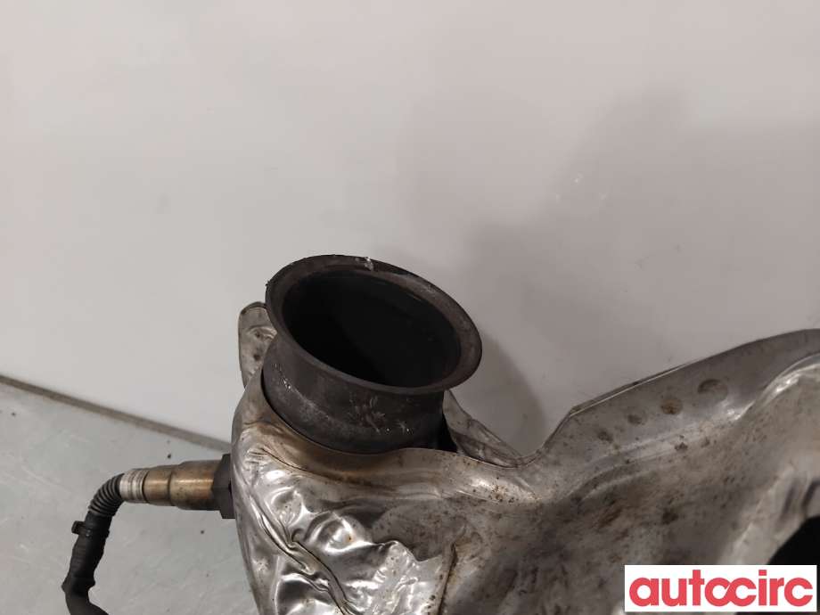 Partikkelfilter til Citroën Berlingo 2008-2015 (Type II, Fase 1)  (CITROEN|174066|TRPSAK638|1609532780)