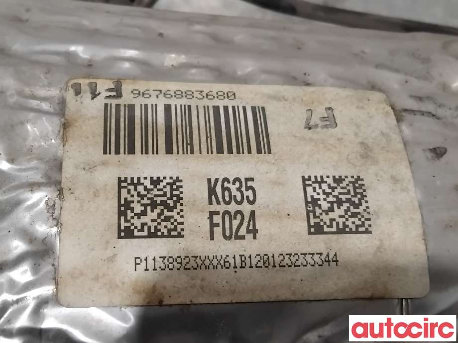 Partikkelfilter til Citroën C4, Aircross 2012-2017  (CITROEN|174067|TRPSAK635|9676883680)